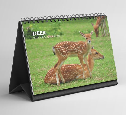 Deer Desk Calendar 2026-2027