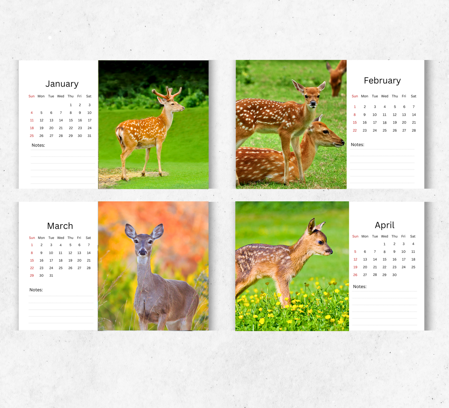 Deer Desk Calendar 2026-2027