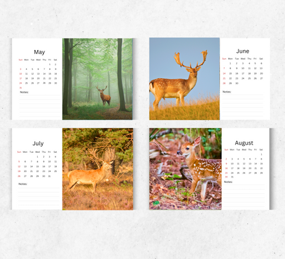 Deer Desk Calendar 2026-2027