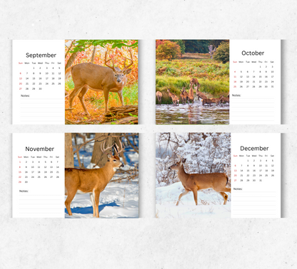 Deer Desk Calendar 2026-2027