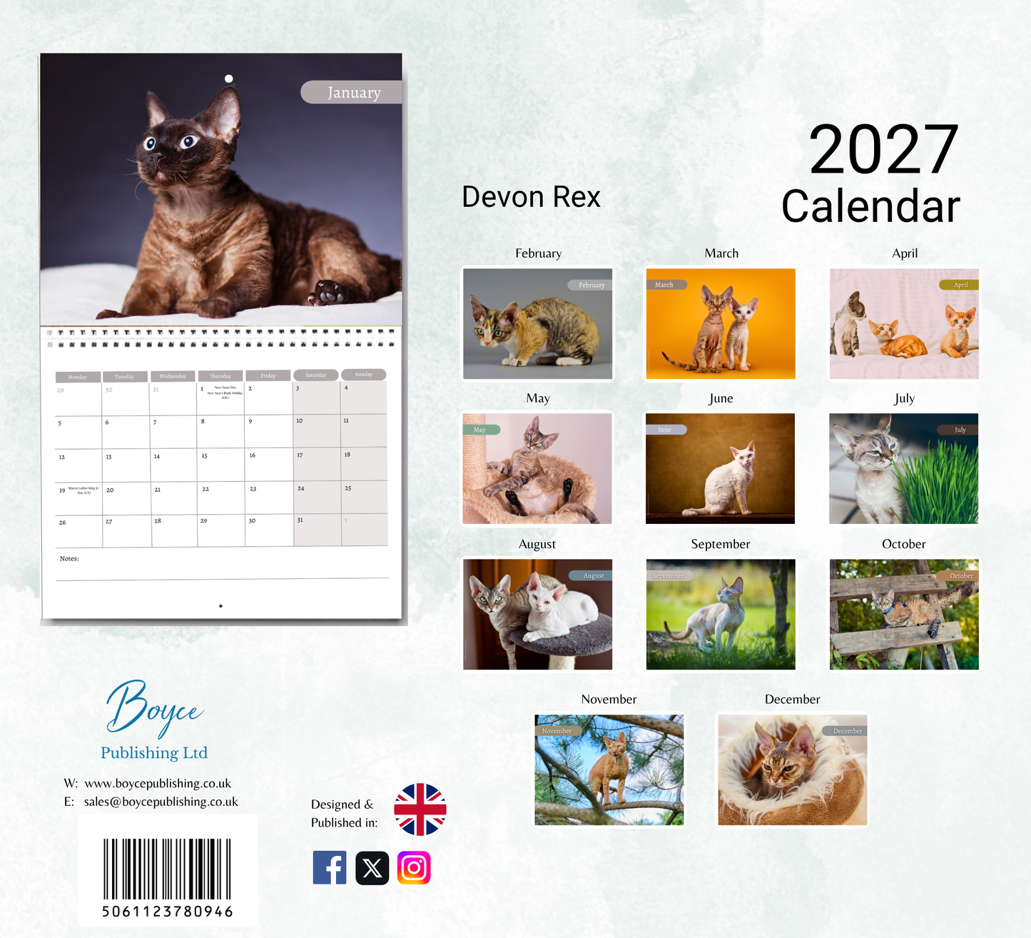 Devon Rex Calendar 2027