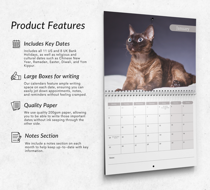 Devon Rex Calendar 2027
