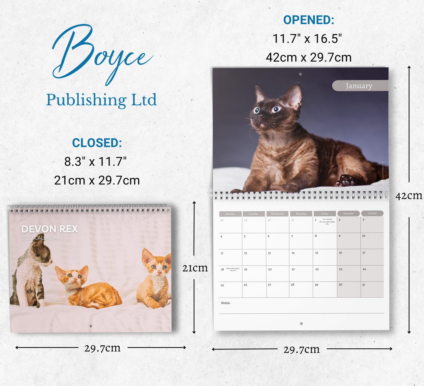 Devon Rex Calendar 2027