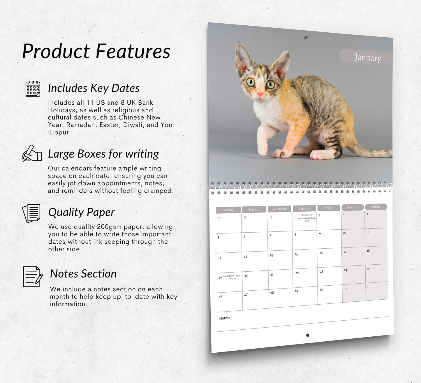 Devon Rex Calendar 2026
