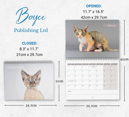 Devon Rex Calendar 2026
