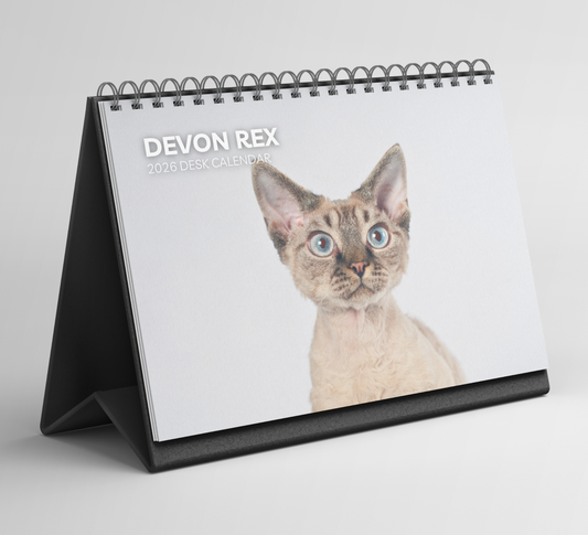 Devon Rex Desk Calendar 2026-2027
