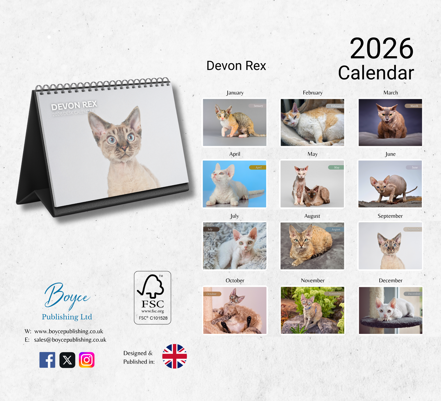Devon Rex Desk Calendar 2026-2027