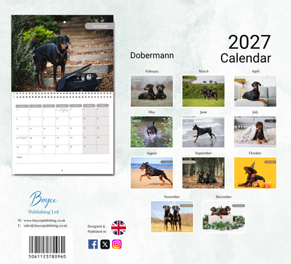 Dobermann Calendar 2027