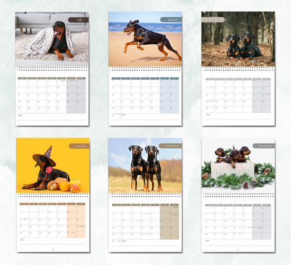 Dobermann Calendar 2027