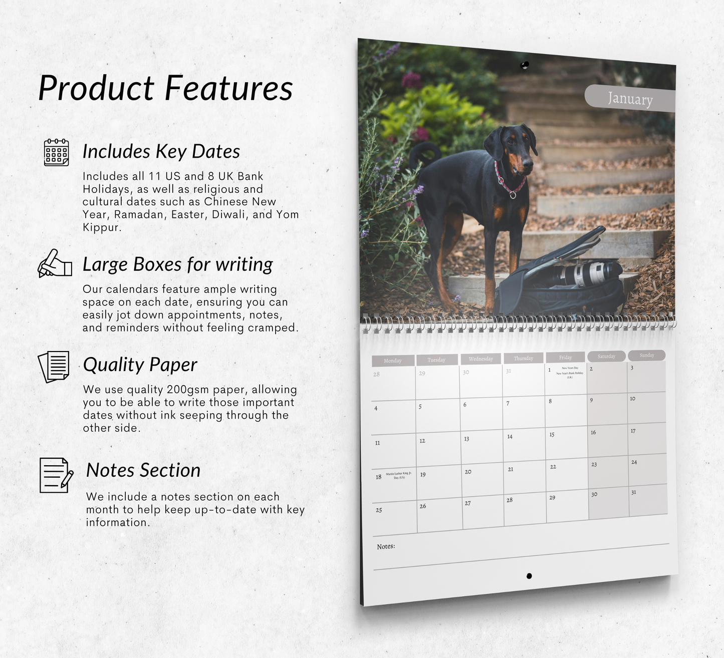 Dobermann Calendar 2027