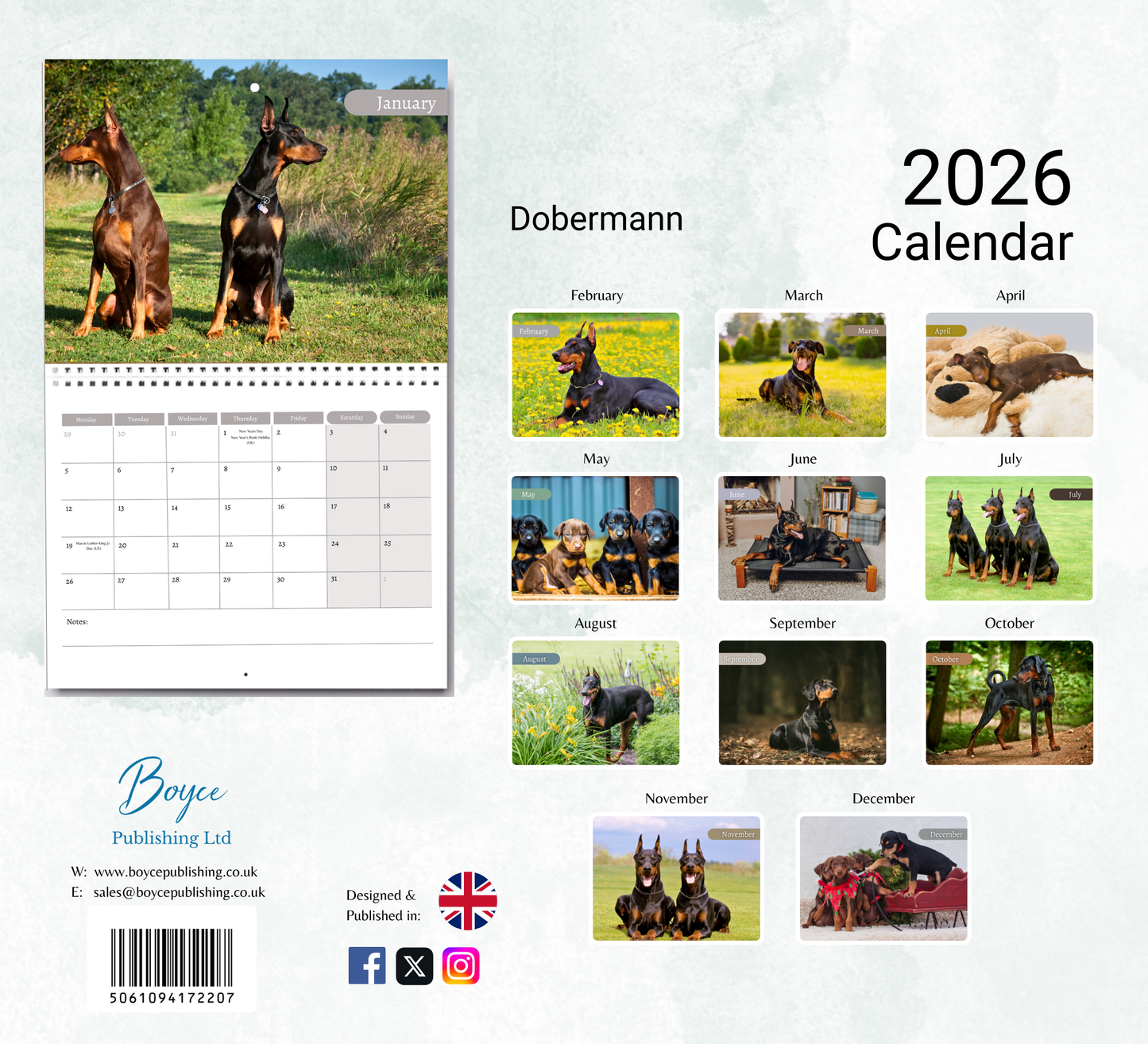 Dobermann Calendar 2026