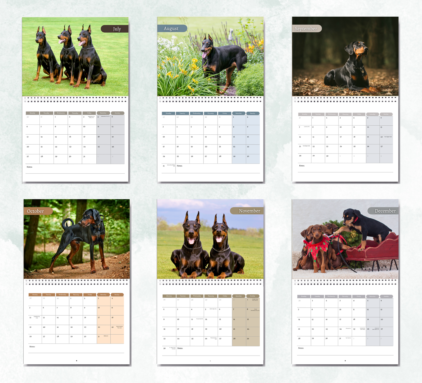 Dobermann Calendar 2026