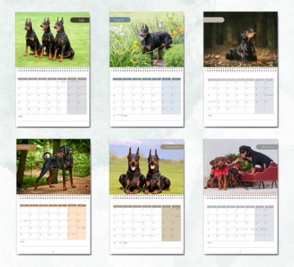 Dobermann Calendar 2026