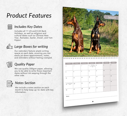 Dobermann Calendar 2026