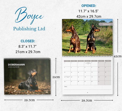Dobermann Calendar 2026