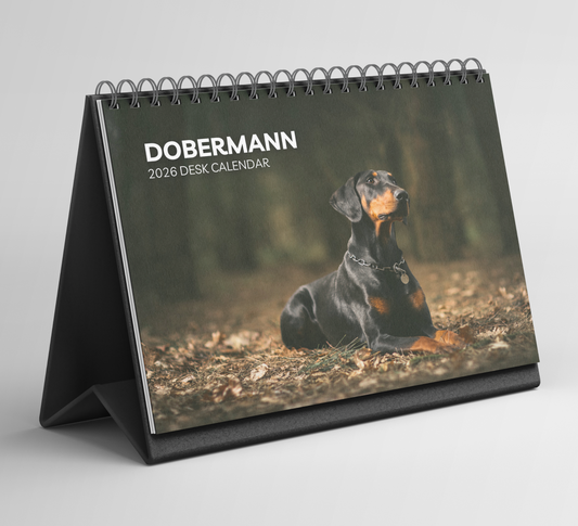 Dobermann Desk Calendar 2026-2027