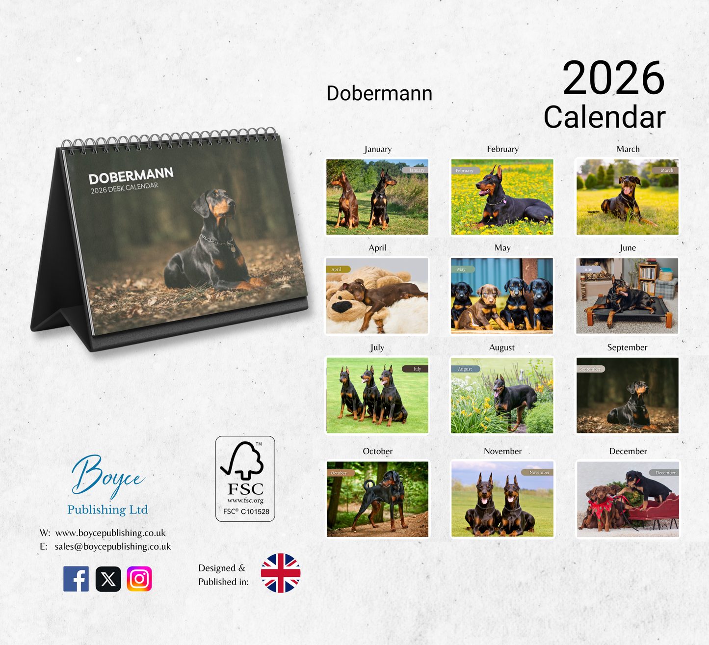 Dobermann Desk Calendar 2026-2027