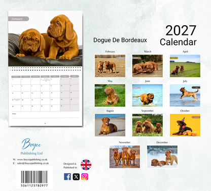 Dogue De Bordeaux Calendar 2027