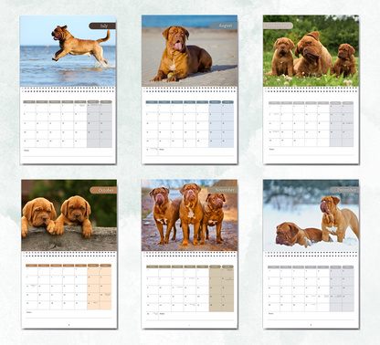 Dogue De Bordeaux Calendar 2027