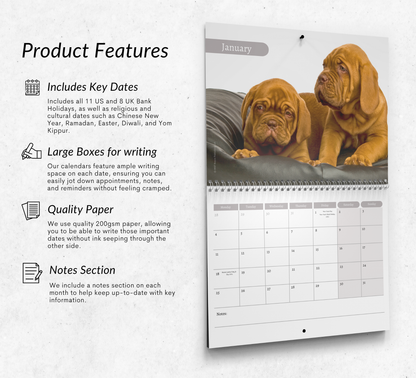 Dogue De Bordeaux Calendar 2027