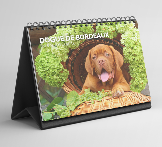 Dogue De Bordeaux Desk Calendar 2026-2027