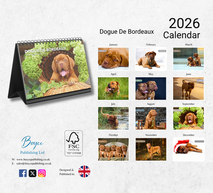Dogue De Bordeaux Desk Calendar 2026-2027