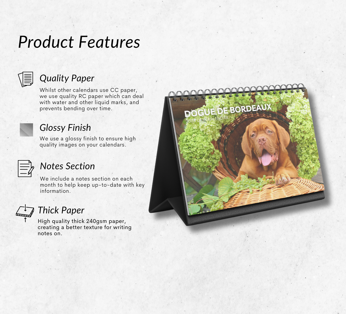 Dogue De Bordeaux Desk Calendar 2026-2027