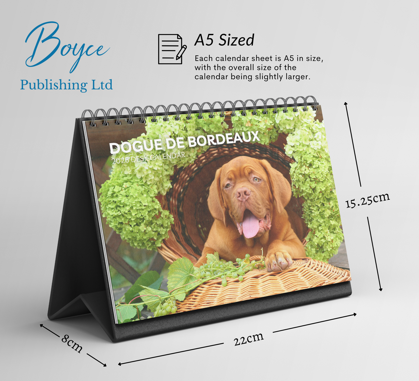 Dogue De Bordeaux Desk Calendar 2026-2027