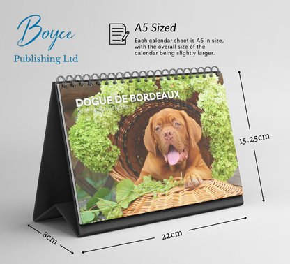 Dogue De Bordeaux Desk Calendar 2026-2027