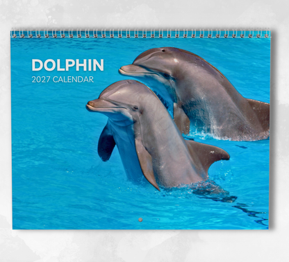 Dolphin Calendar 2027