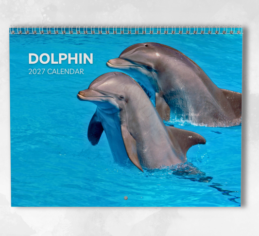 Dolphin Calendar 2027
