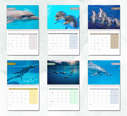 Dolphin Calendar 2027