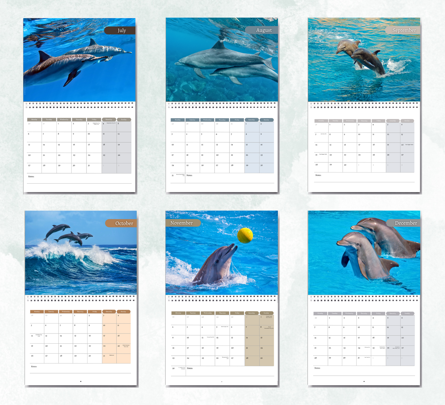 Dolphin Calendar 2027