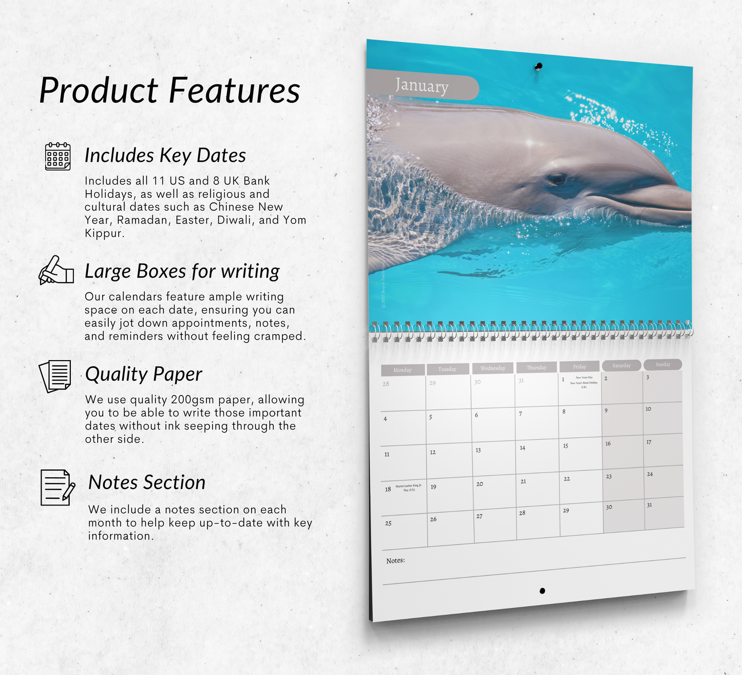 Dolphin Calendar 2027