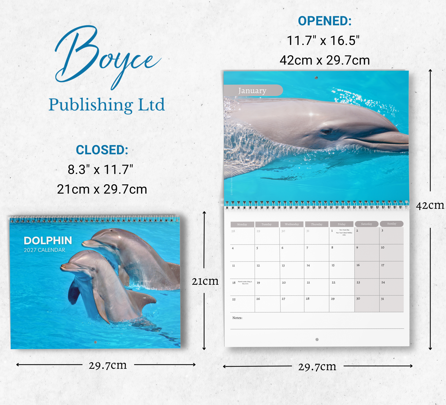 Dolphin Calendar 2027