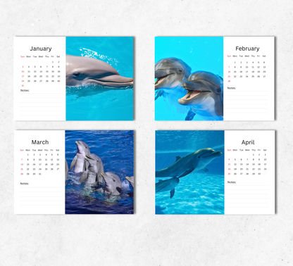 Dolphin Desk Calendar 2027-2028