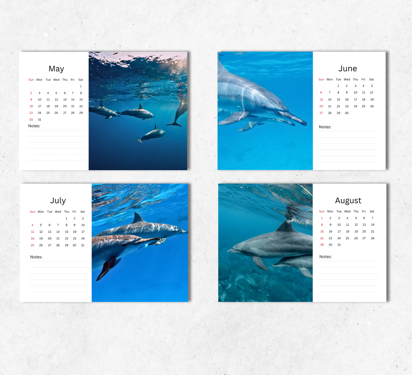 Dolphin Desk Calendar 2027-2028