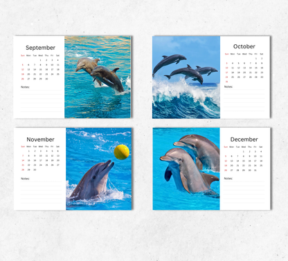 Dolphin Desk Calendar 2027-2028