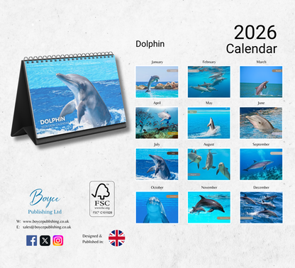Dolphin Desk Calendar 2026-2027