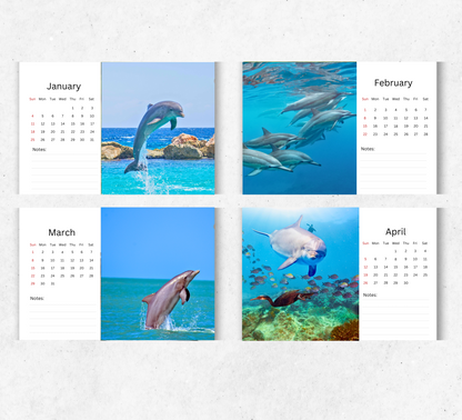Dolphin Desk Calendar 2026-2027