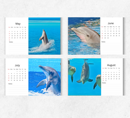 Dolphin Desk Calendar 2026-2027