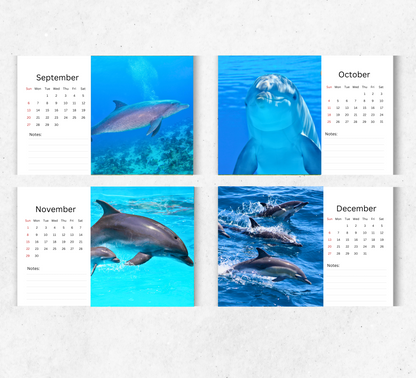 Dolphin Desk Calendar 2026-2027