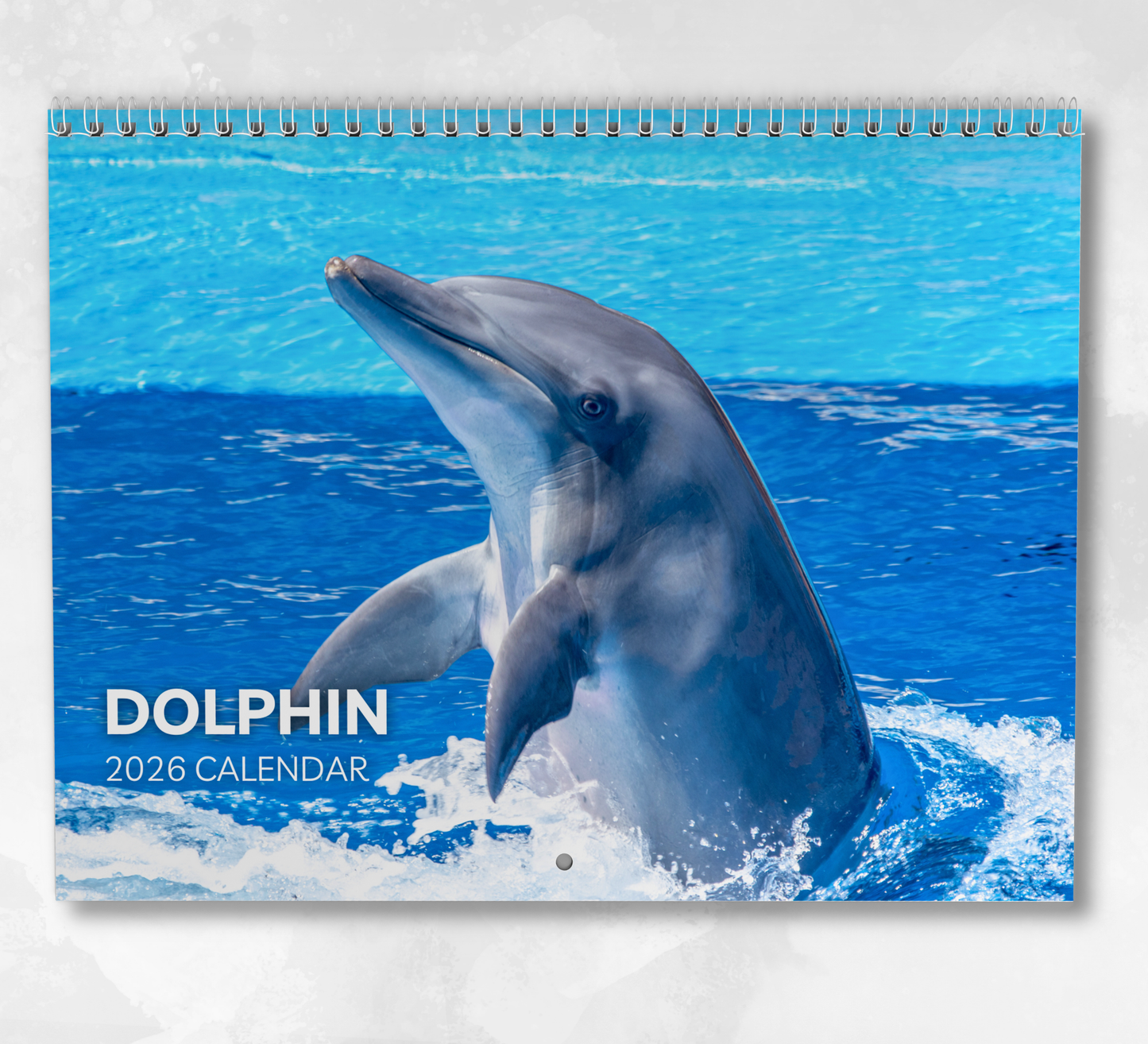 Dolphin Calendar 2026