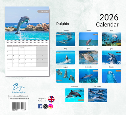 Dolphin Calendar 2026