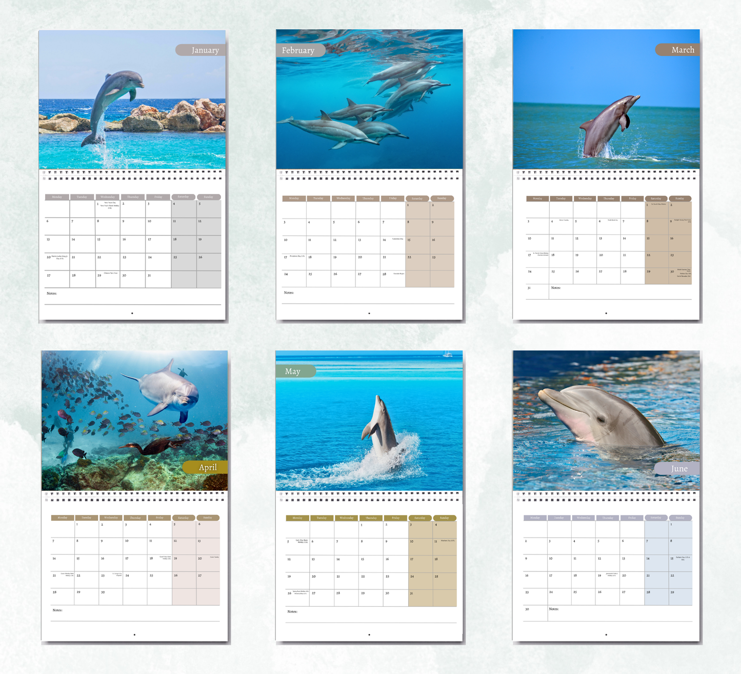 Dolphin Calendar 2026