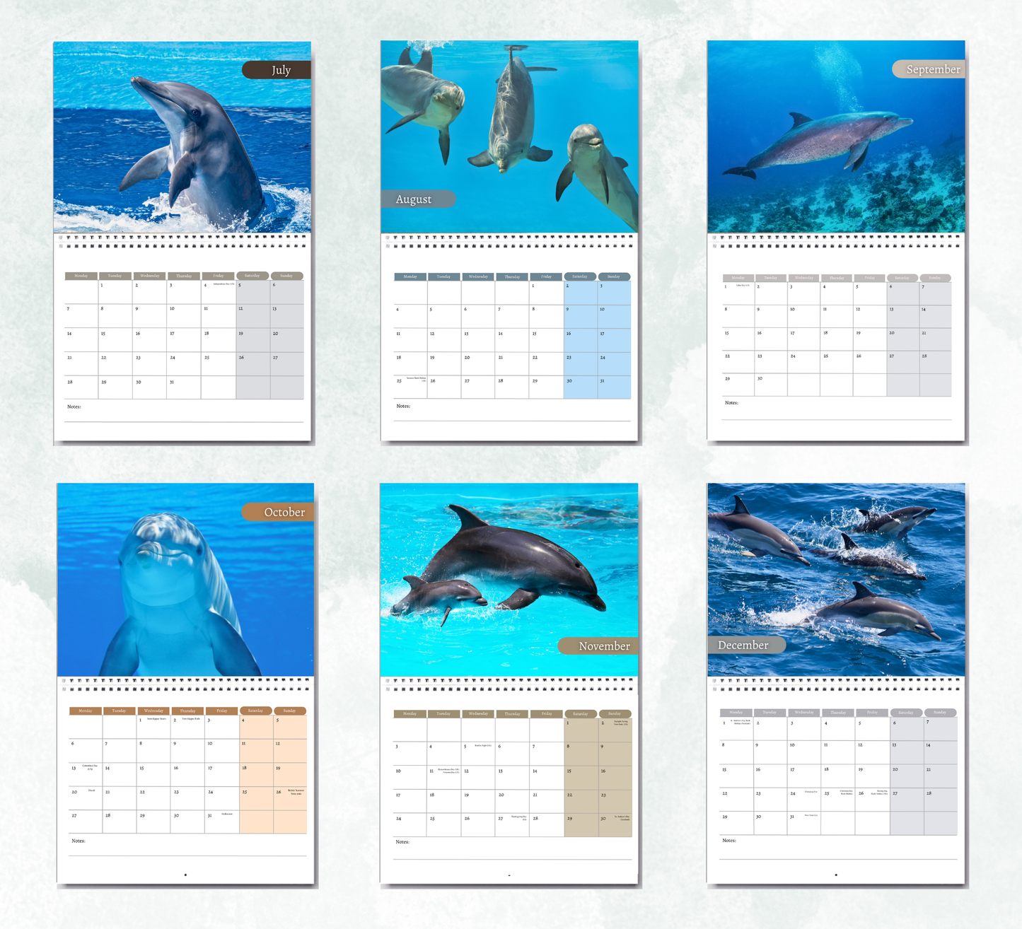 Dolphin Calendar 2026