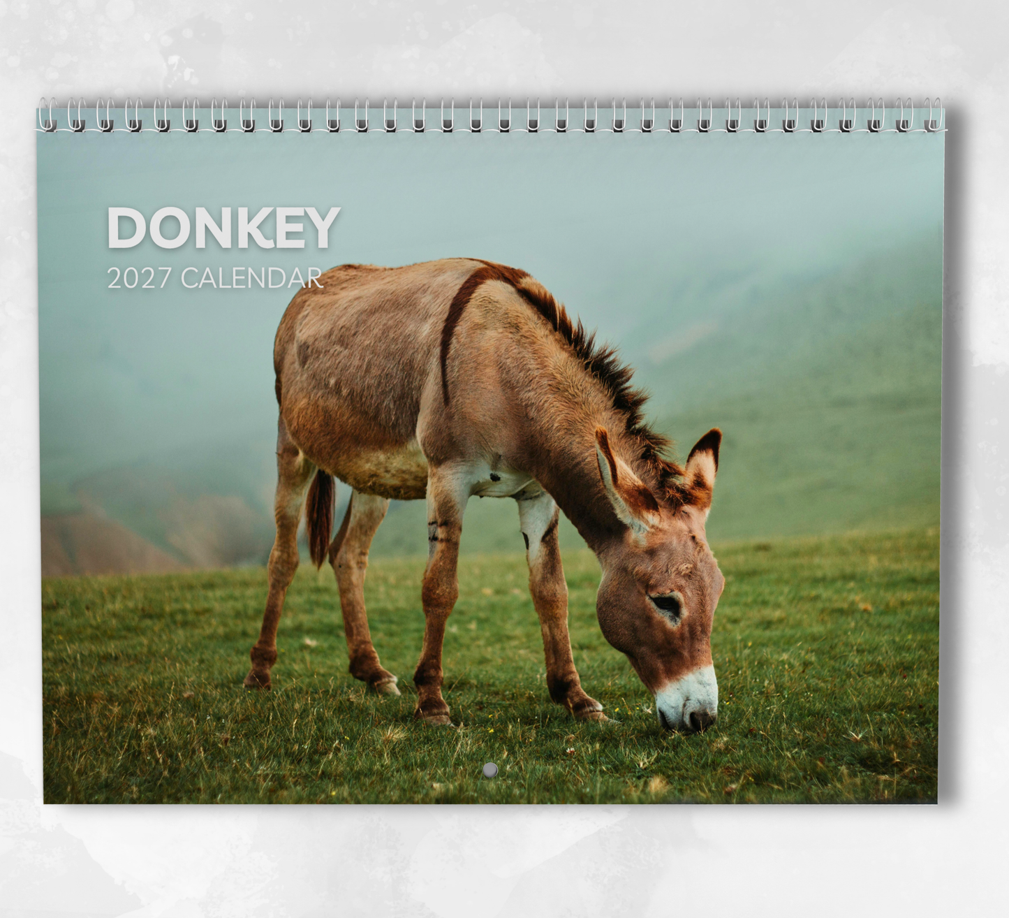 Donkey Calendar 2027