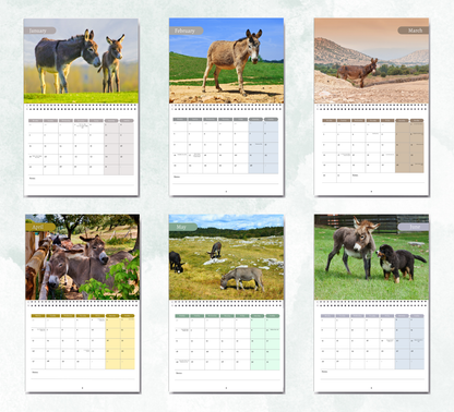 Donkey Calendar 2027