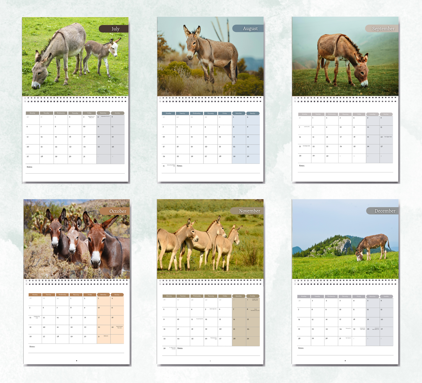 Donkey Calendar 2027