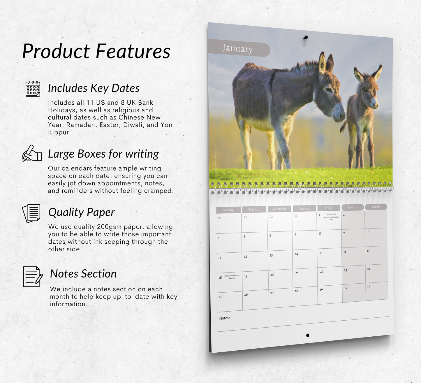Donkey Calendar 2027